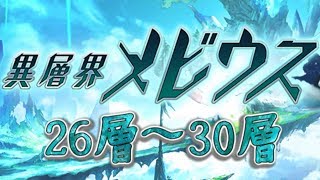 【タガタメ】異層界メビウス26層～30層【確認用】