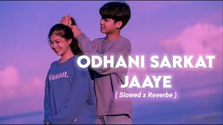 Odhani Sarkat Jaaye | Slowed x Reverbe | Pawan Sing  | Lofi Song | Use Headphone Better Experience
