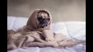 Using Code Coverage in your apps