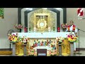 divine mercy adoration live today fr. peter vellara vc 26 january divine goodness tv