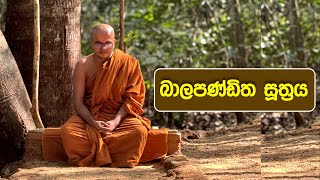 බාලපණ්ඩිත සූත්‍රය | Balapanditha Suthraya (2024.11.26)