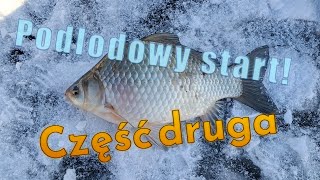 Podlodowy start! Część druga! Były grube ryby!