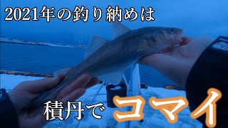 【コマイ釣り】今年は4年に1度のコマイのあたり年！?