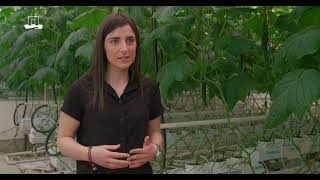 Autonomous Greenhouses AGROS validation trial 2023