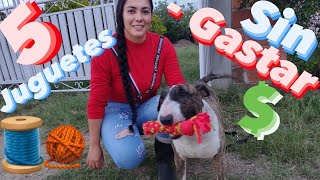 COMO HACER 5 JUGUETES PARA TUS PERROS 🎾🤗con MATERIALES CASEROS✂👕🏘  SIN GASTAR DINERO💵y MUY FACILES 😲