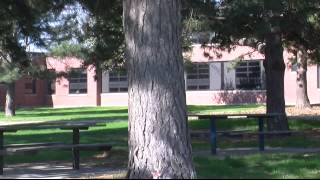 Inside Yrtc Part 2