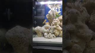 Luxury Aquariums in rajahmundry(2)