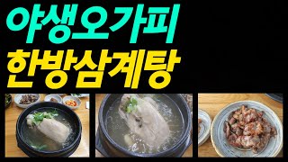 야생오가피 한방삼계탕 -수성구 맛집 춘산오가피-