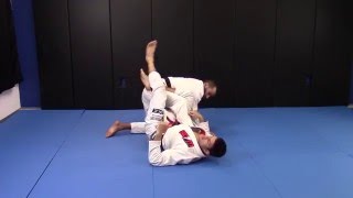 50/50 Entry From Spider Guard by Felipe \