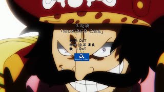 【MAD】One Piece Opening 25 - 「NUMBER ONE」OxT