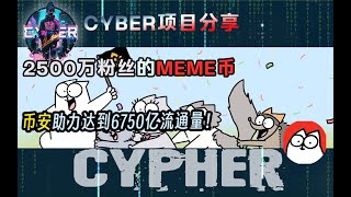 【赛博项目分享】两千万粉丝的MEME币CAT｜超强社区文化+币安助力