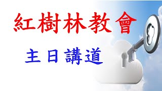 紅樹林教會2021年8月15日 主日崇拜