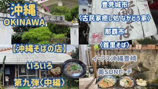 【沖縄そばの店】いろいろ〈第九弾/後編〉『豊見城市 古民家癒し処ながどう家』『那覇市 首里そば』