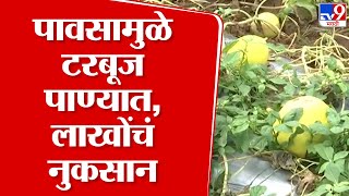 Solapur | मोहोळमध्ये मुसळधार पावसामुळे शेती पिकांचं मोठं नुकसान