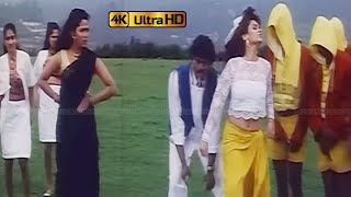 சிக்கன் கறி பாடல் | Chicken Kari song | Vijay, Sirpy, Swarnalatha | Sirpy | Selva .