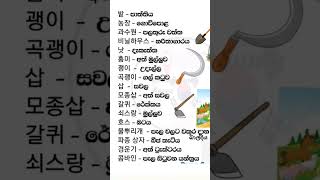 ලමයි ඔක්කොම කියවලා බලන්න 👀❤️‍🩹#exam_#korea_#viralvideo_#love_#motivation_#gk_#comedy_#generalknowle