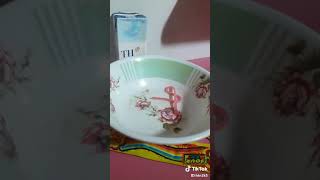 Không cân ton tien la cac ban se lam duoc mon an vat cua minh