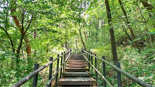 [4K] Slow walk on Bukhansan Mountain in Seoul Relaxing Sounds 서울 북한산 둘레길 구기동 코스의 느린 힐링 산책 새소리 계곡물 소리