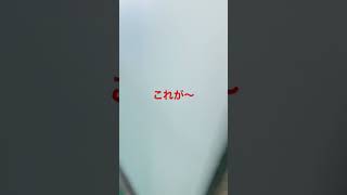 ニートの古民家再生#ショート動画 #フォルクス #リフォーム #掃除 #たたみ