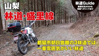 山梨【林道・盛里線】〜都留市朝日の3林道で一番雰囲気がいい