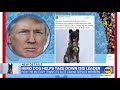 hero dog who helped take down isis leader from elite k 9 group l abc news