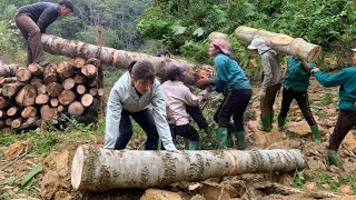 Girl uses dangerous truck to carry wood downhill when the road is slippery during rain.