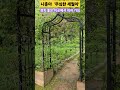 나훈아 무심한 세월아 경치 좋은 이곳에서 잠시 쉬었다 가요 shorts 나훈아 파코메리 유쾌한킴교장