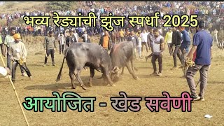 भव्य रेड्यांची झुंज स्पर्धा 2025/आयोजित (खेड - सवेणी) #vlog #vairalvideo #kokan #youtube #ratnagiri