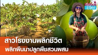 อดีตสาวโรงงานพลิกผืนนาปลูกพืชสวนผสม  | เรื่องดีดีทั่วไทย | 4-2-68