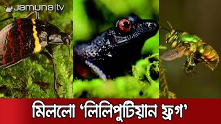 আবিষ্কৃত হলো ২০ প্রজাতির নতুন প্রাণ | New Species