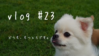 【vlog】愛犬と湘南へおでかけ/柳島しおさい公園/水遊び/芝生で大暴れ/犬のいる暮らし