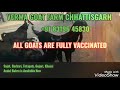 verma goat farm chhattisgarh 8319645830