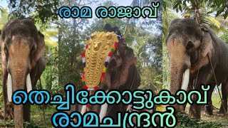 തെച്ചിക്കോട്ടുകാവ് രാമചന്ദ്രൻ  ഒരുങ്ങുമ്പോൾ രാമേട്ടനും കടുക്കൻ രാജേഷും # തെച്ചിക്കോട്ടുകാവ്