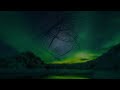 Dee Yan-Key : Cool Woods