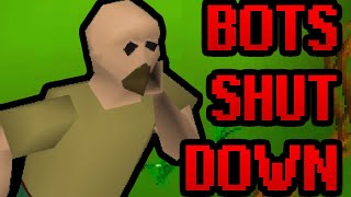 Jagex Shut Down RuneScape's Most Famous Bot (OSRS)