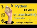 str.startswith(prefix[, start[, end]]) - Check if Python Strings Start with Prefix