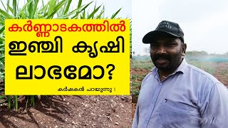 കർണ്ണാടകത്തിൽ ഇഞ്ചി ചെയ്യുന്ന കർഷകൻ പറയുന്നു ! Malayalee grow ginger in Karnataka !