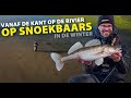 SPRO - Shore Fishing For River Zander In The Winter