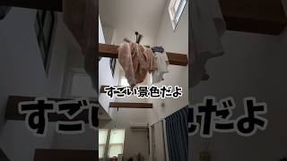 ［同棲あるある］服が頭上に溜まる　#恋愛 #カップル #vlog #11歳差カップル #おもしろ動画 #年の差カップル #カップルチャンネル #ほのぼの #同棲 #暮らしのvlog