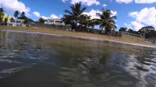 Tripp Jones - Rincón, Puerto Rico - Ocean; Flying Drone; Swimming; Underwater; (GoPro) @ [4K]