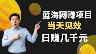 蓝海网赚项目，适合新手的网上赚钱项目！无需推广无需客源，最快当天见效，日赚几千元！