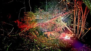 Winter Camping in PRIMITIVE SURVIVAL SHELTER - Emergency Bushcraft Shelter, Cooking, Documentary
