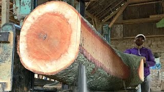 Ultimate Sawmill- Milling Massive Bayur Logs into building construction materials