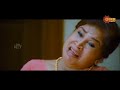 best of 2024 compilation allu arjun sivakarthikeyan mahesh babu anushka telugu comedy scene