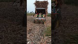 🐯ಪಡದಲ್ಲಿ ಹುಲಿ🐯ನಾಗನೂರ ಕಿಂಗ್👑ಬೆಂಕಿ ಡ್ರೈವಿಂಗ್ 🔥 #tractorlover #automobile #uk #Lnt5210 #dj #sugarcane