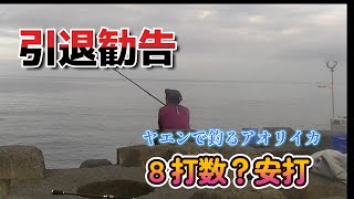 【引退】ヤエンで釣るアオリイカ　8打数？安打