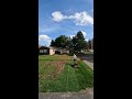 leaf cleaning bag or mulch before after diy oddlysatisfying satisfying timelapse lawn