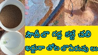 సౌదీ లో గడ్డ కట్టే చలి ఖర్జురా తోటలొ ఏరువులు వెసాము # babji fr vlogs