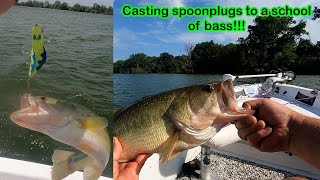 EPIC day casting SPOONPLUGS to a school of bass!