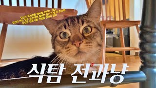 식탐 고양이 (Greedy Cat)